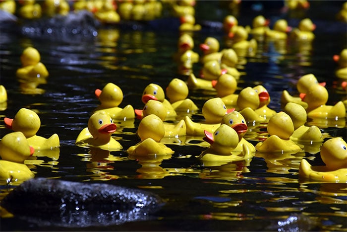 Bilder Lauftext 700x467 px_0000_shutterstock_2177226955