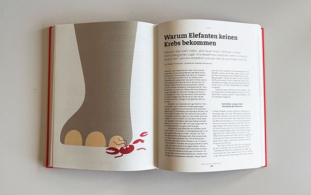 Innenteil Buch Health Forecast von Sanitas