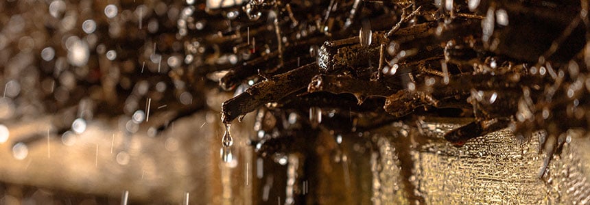 Bilder Blog 860x300 px_0000_260623_Sauna_Gradierwerk_02