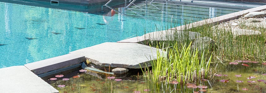 Bilder Blog 860x300 px_0001_250411_Therme_Aussenbereich_Naturschwimmbecken_02-