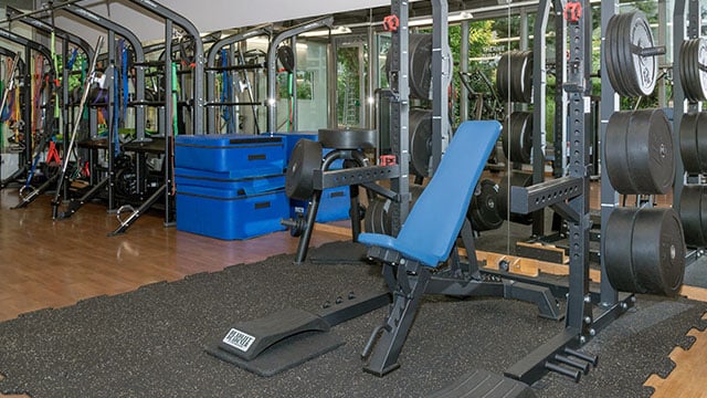 Fitness