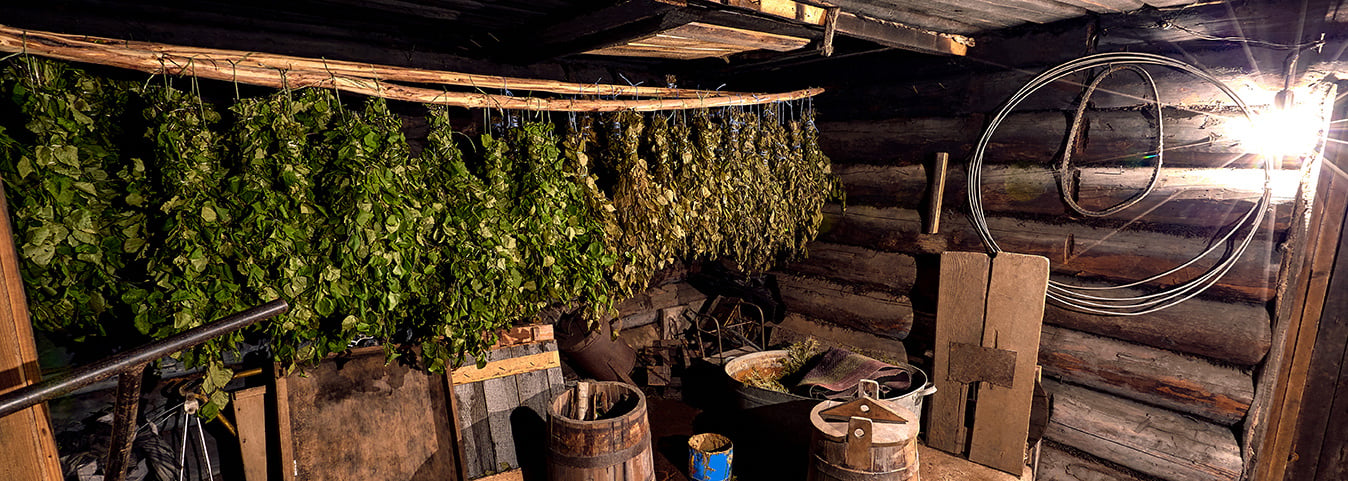 Birkenzweige und Sauna – das russische Wenik-Ritual